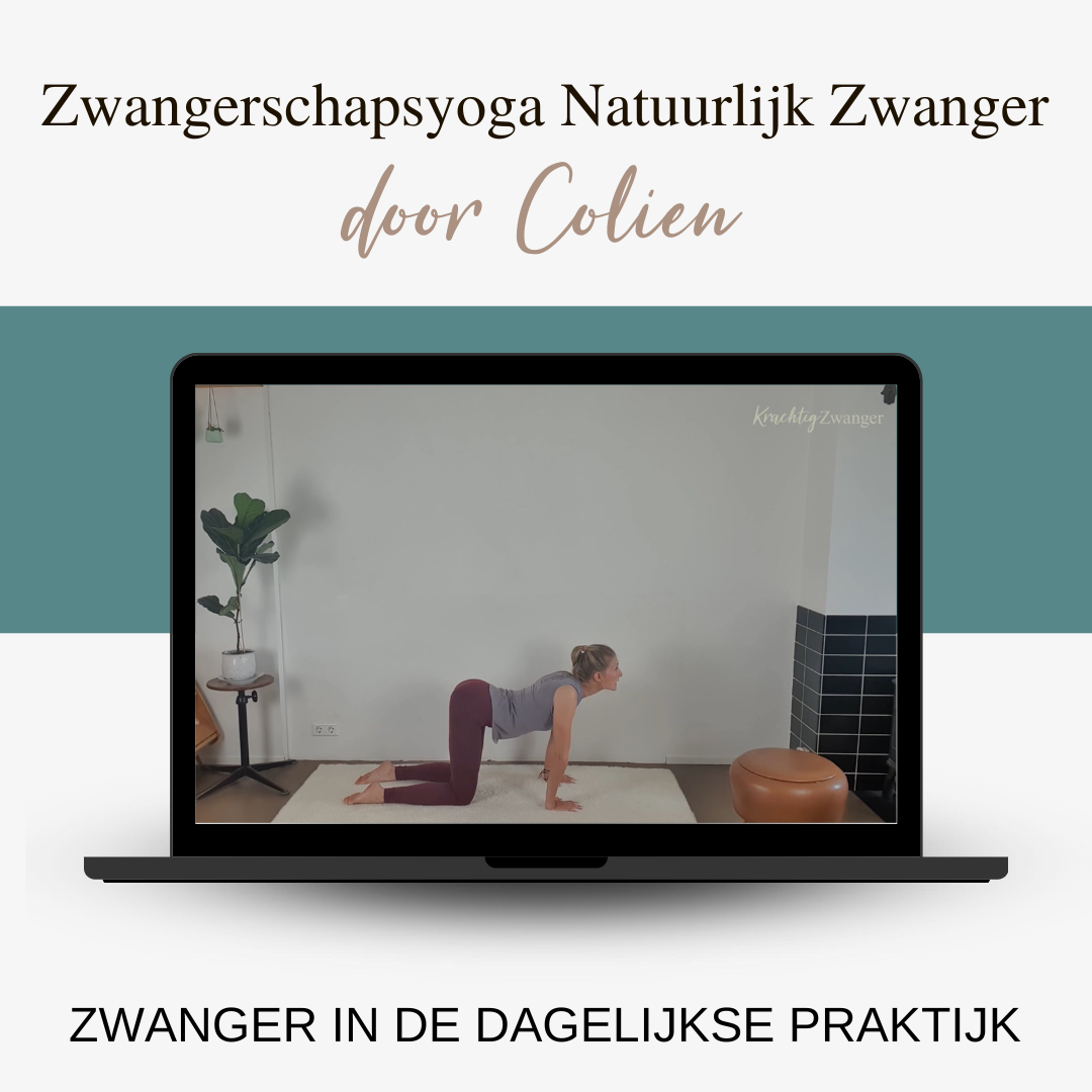 Programma Krachtig Zwanger Krachtig Zwanger