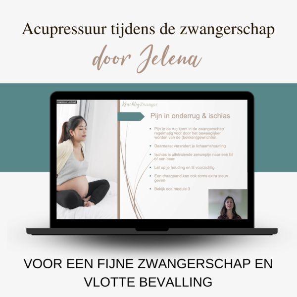 Programma Krachtig Zwanger Krachtig Zwanger